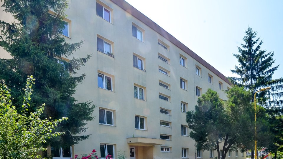 Persoanele singure care au venituri de până în 2.640 de lei vor putea beneficia de sprijin pentru plata chiriei