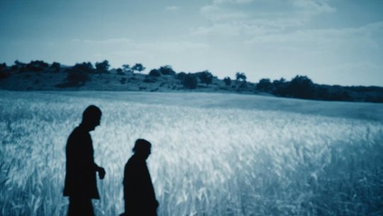 Se lansează „Pădurea de Molizi”, un nou film de Tudor Giurgiu
