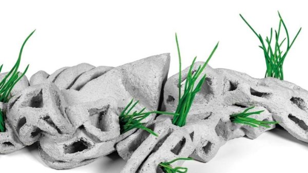 Cartea de Poezie a Anului, premiată la Radio România Cultural