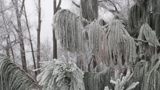 -18 grade Celsius, marți dimineața, la Întorsura Buzăului