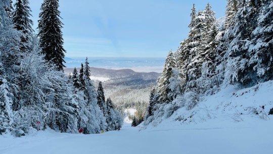 Se schiază în condiții bune pe toată partea superioară a a masivului Postăvarul