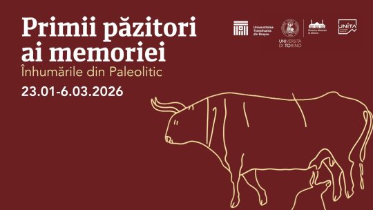 Expoziție altfel la Centrul Multicultural al Universității Transilvania Brașov