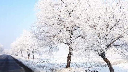 Vremea se încălzeşte uşor începând cu acest sfârşit de săptămână