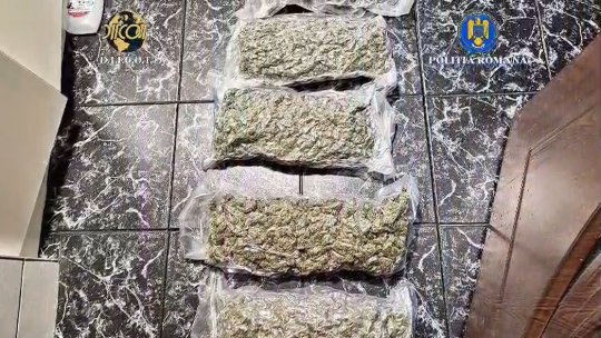 Rețea de traficanți de droguri, destructurată de DIICOT Brașov