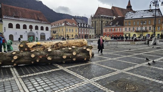 Bradul de Crăciun din Piața Sfatului se va transforma în mobilier pentru zonele de picnic