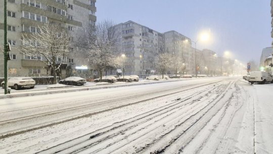 Ninge abundent la Brașov