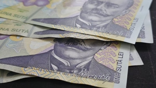 ANSVSA: Amenzi de peste 8 milioane de lei, în decembrie și în prima săptămână din ianuarie