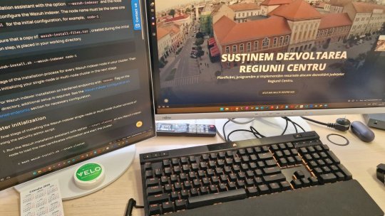 Digitalizare pe bani europeni