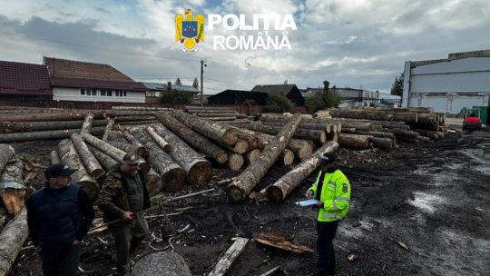 Aproape 250 de metri cubi de material lemnos, confiscați de polițiști în urma controalelor silvice