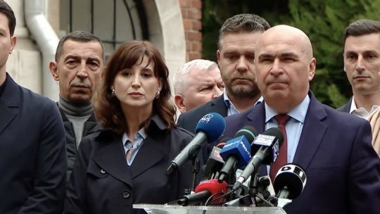 PNL a decis: va vota guvernul Luca Niculescu