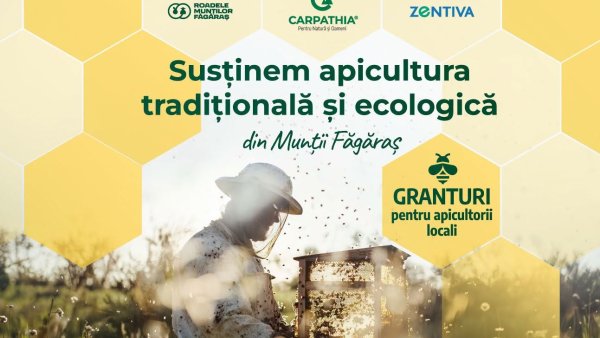 Finanțare pentru apicultorii din comunitățile din jurul Munților Făgăraș