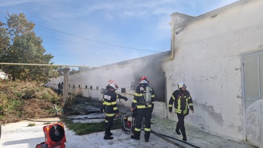 Incendiu la o fermă din Dumbrăvița