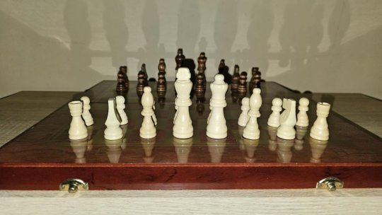 Federaţia Română de Şah anunță proiectul „Cuibul de Şah”