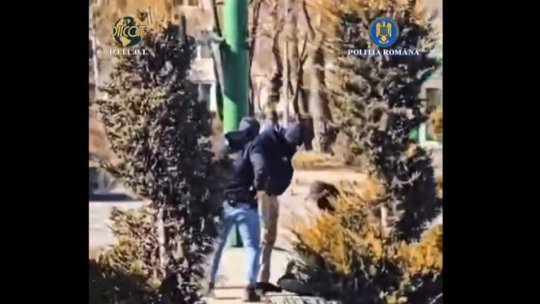 VIDEO Arestat preventiv pentru trafic de droguri de risc