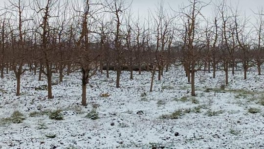 Sprijin financiar pentru agricultorii afectați de condiții meteo extreme