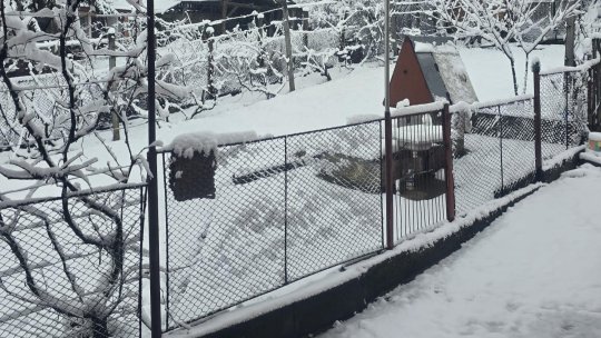 Mai mulți brașoveni, amendați pentru că nu au curățat zăpada din fața proprietăților