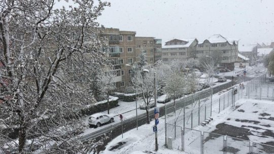 Chiriile în Brașov: două camere costă aproape două treimi din salariu