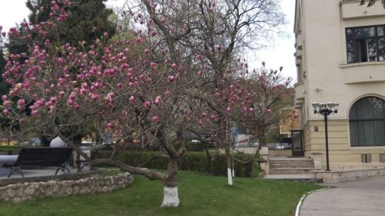 Târg de locuri de muncă, la Casa Armatei din Braşov
