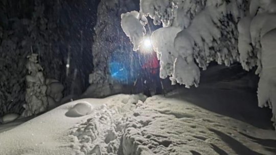 În jur de 5.000 de ucraineni au intrat, anul trecut, ilegal, în România