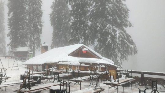 Vânt puternic în Postăvarul!