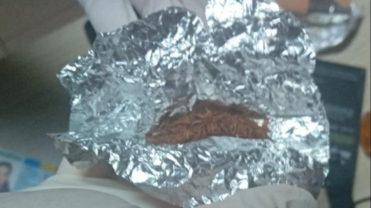 Prinsi cu substanțe posibil psihotrope în Gara Brasov