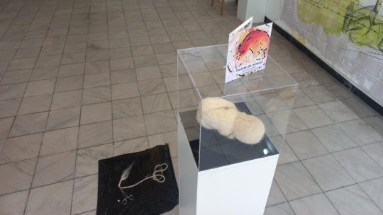 „Flux – Manifest invers”, la Galeriile Europe