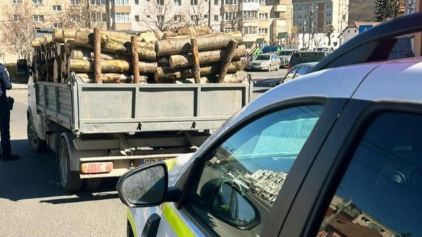 Furt de lemne la Râșnov