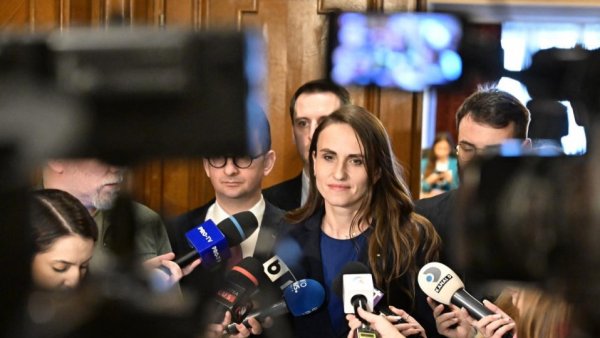 Ministrul Oana Ţoiu a fost audiată în Parlament