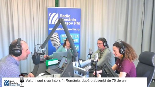 INTERVIU | Vulturii suri s-au întors în România. De ce avem nevoie de ei?