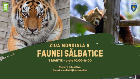 Ziua Mondială a Faunei Sălbatice va fi sărbătorită la Zoo Brașov