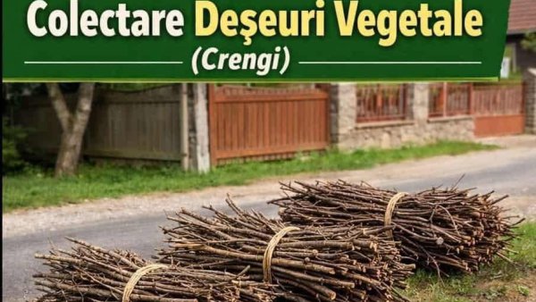 Campanie de colectare a deșeurilor vegetale la Râșnov
