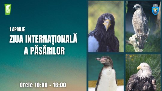 Ziua Internațională a Păsărilor va fi marcată la Zoo Brașov