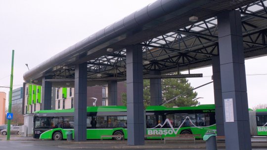 Începe oficial programul „Vinerea verde”