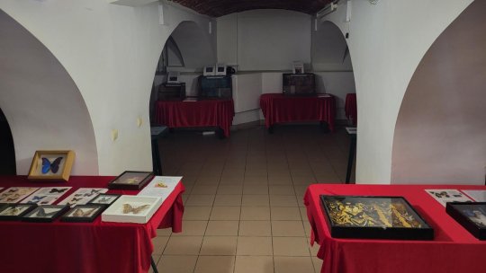 Expoziție cu insecte uriașe, la Centrul Cultural Reduta