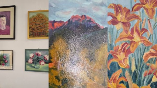 Expoziție de pictură la Biblioteca Județeană Brașov