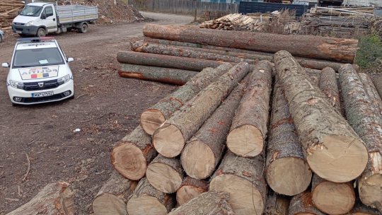 Amenzi de 15.000 de lei și material lemnos confiscat în urma unor controale în Zărnești și Bran