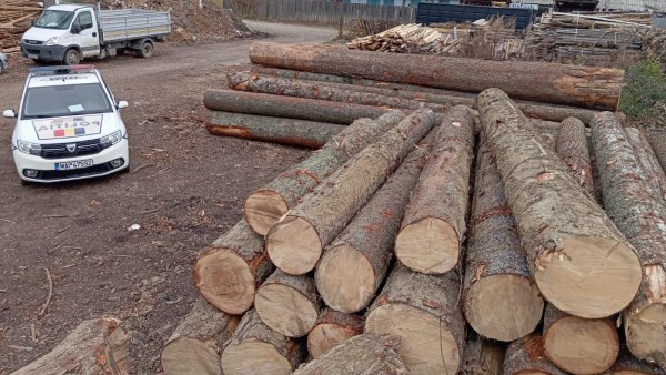 Amenzi de 15.000 de lei și material lemnos confiscat în urma unor controale în Zărnești și Bran