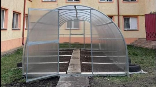 „Mica mea grădină” de la Grădinița „Micul Prinț” a devenit „Mica mea seră”