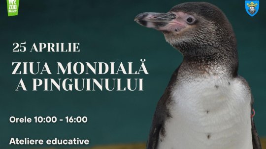 Ziua Mondială a Pinguinului va fi sărbătorită la Zoo Brașov