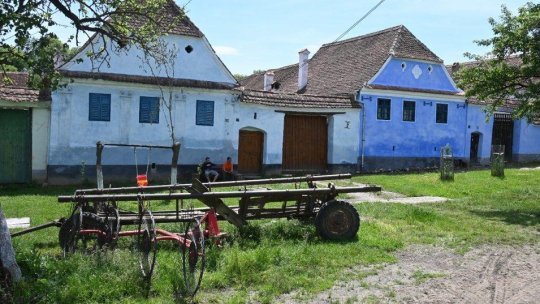 Expoziția „Maria: Regina artistă. Un dialog pe teme florale”, la Viscri