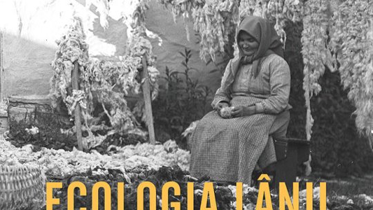 O altfel de expoziție, la Muzeul Civilizației Urbane din Brașov