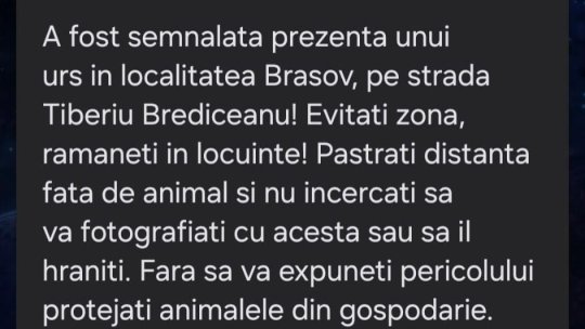 RO-Alert: Urs pe Aleea Tiberiu Brediceanu