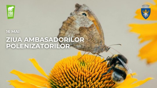 Ziua Ambasadorilor Polenizatorilor, la Grădin Zoologică
