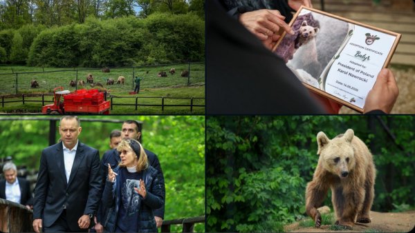 Președintele Poloniei, Karol Nawrocki, a vizitat Sanctuarul Libearty Zărnești și l-a adoptat simbolic pe ursul Batyr