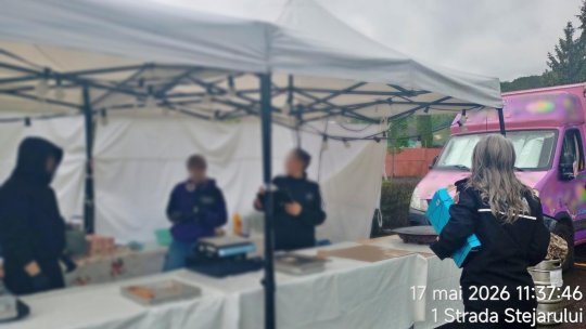 Nereguli la „Festivalul de Plăcinte și Căpșuni” din Noua