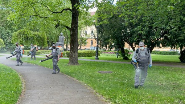 O nouă campanie de dezinsecție la Brașov