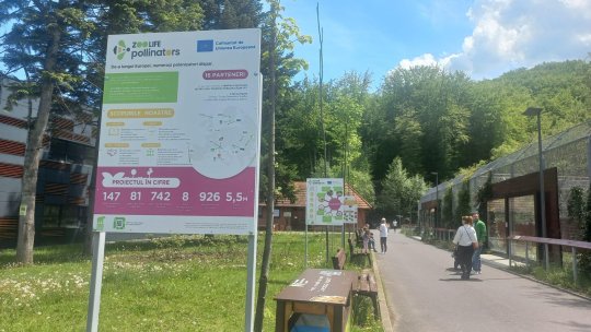 Ziua Mondială a Albinelor, marcată la Zoo Brașov