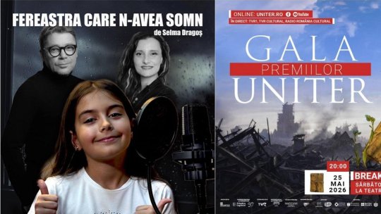 Premiul UNITER pentru cel mai bun spectacol de teatru radiofonic: Fereastra care n-avea somn de Selma Dragoș