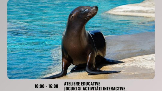 Ziua Mondială a Leilor de Mare la Zoo Brașov