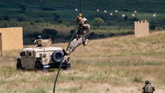 Scorpions Legacy 2026 concentrează peste 1.700 de militari NATO și sute de blindate în poligonul de la Cincu